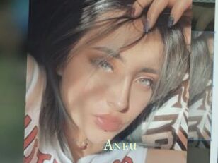 Aneu