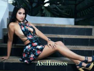 AniHudson