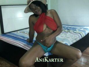 AniKarter