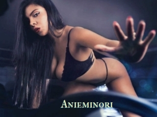 Anieminori