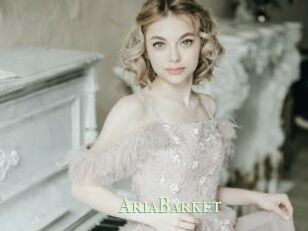 AriaBarket