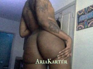 AriaKarter
