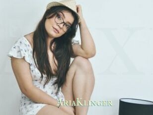 AriaKlinger