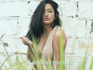 AriaMontgomery