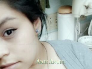 Arie_Angel