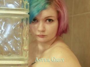 Aster_Grey