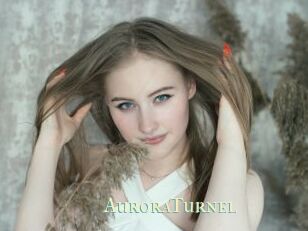 AuroraTurnel