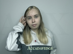 Accadavidge