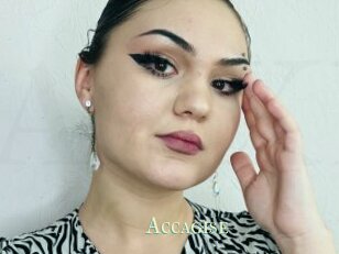 Accagise