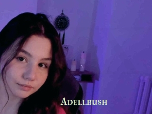 Adellbush