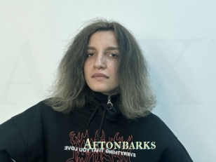 Aftonbarks