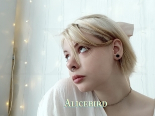 Alicebird