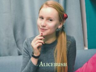 Alicebush
