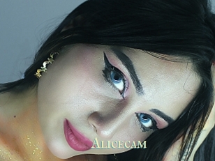 Alicecam