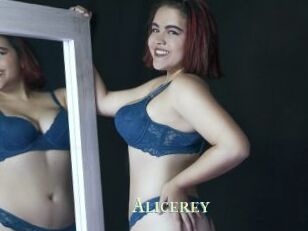 Alicerey