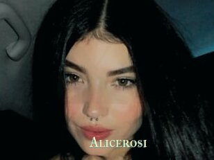 Alicerosi