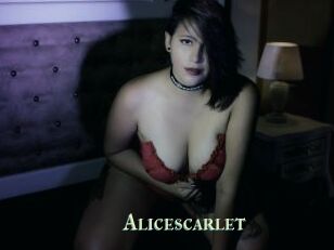 Alicescarlet