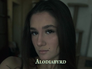 Alodiabyrd