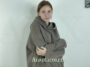 Alodiacollins