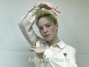 Althenagorbett