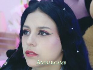 Ambarcams