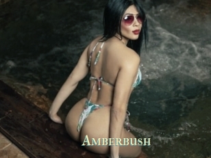 Amberbush
