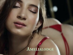 Amelialodge