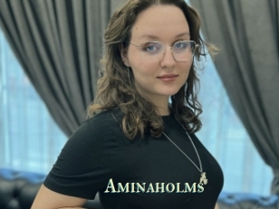 Aminaholms
