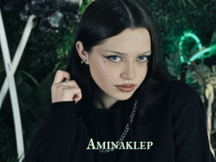 Aminaklep