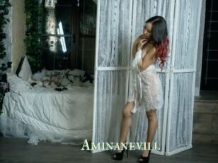 Aminanevill