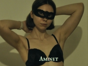 Aminet