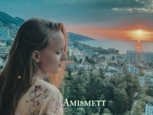 Amismett