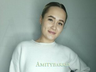 Amitybarris