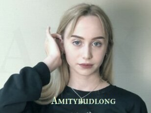 Amitybudlong