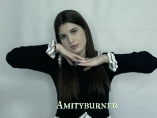 Amityburner