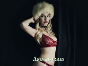 Amnatorres