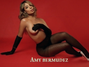 Amy_bermudez