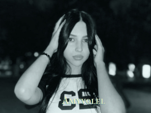 Amyvolel