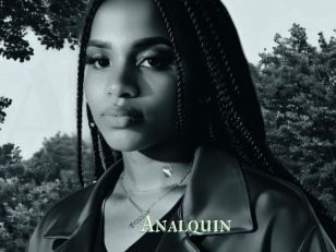 Analquin