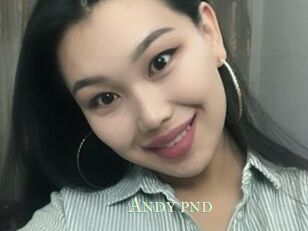 Andy_pnd