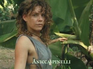 Aniccaspinelli