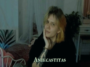 Aniecastitas