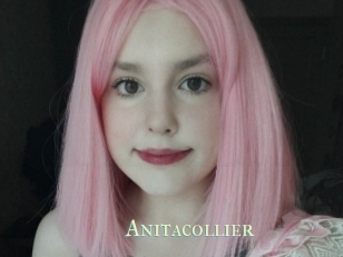 Anitacollier