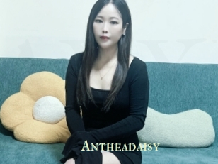 Antheadaisy