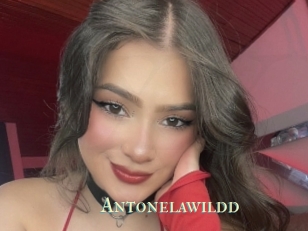 Antonelawildd