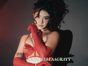 Antonellaagrayy