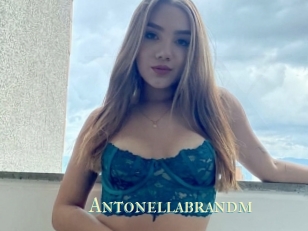 Antonellabrandm