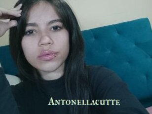 Antonellacutte