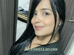 Antonelladams