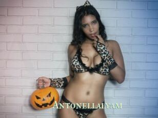 Antonellalyam